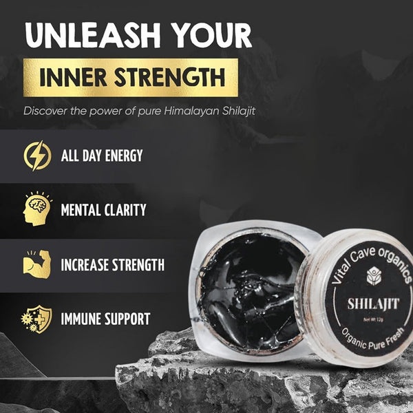 Natural Himalayan Shilajit